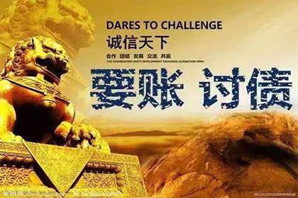 安陆追数公司